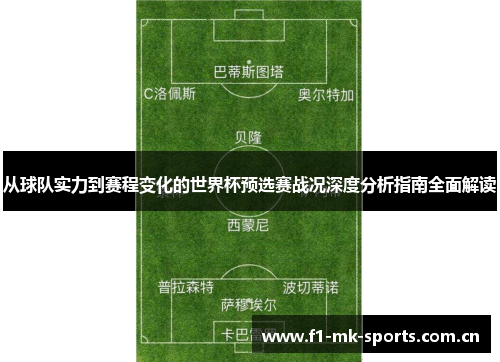 从球队实力到赛程变化的世界杯预选赛战况深度分析指南全面解读