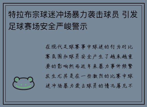 特拉布宗球迷冲场暴力袭击球员 引发足球赛场安全严峻警示